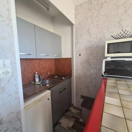 Apartment Studio En Bord De Mer Avec Parking Et Animaux Admis - Fr-1-224C-197