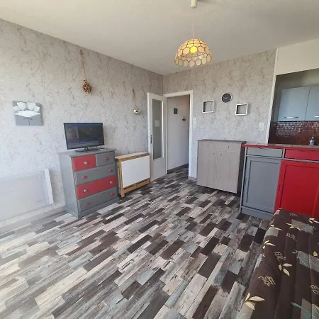 Studio En Bord De Mer Avec Parking Et Animaux Admis - Fr-1-224C-197 Apartamento Saint-Jean-de-Monts