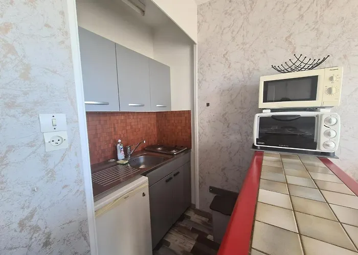 아파트 Studio En Bord De Mer Avec Parking Et Animaux Admis - Fr-1-224C-197