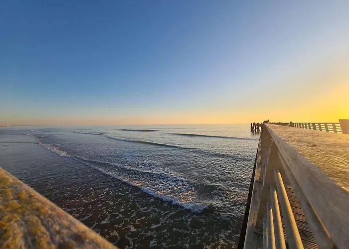 Studio En Bord De Mer Avec Parking Et Animaux Admis - Fr-1-224C-197