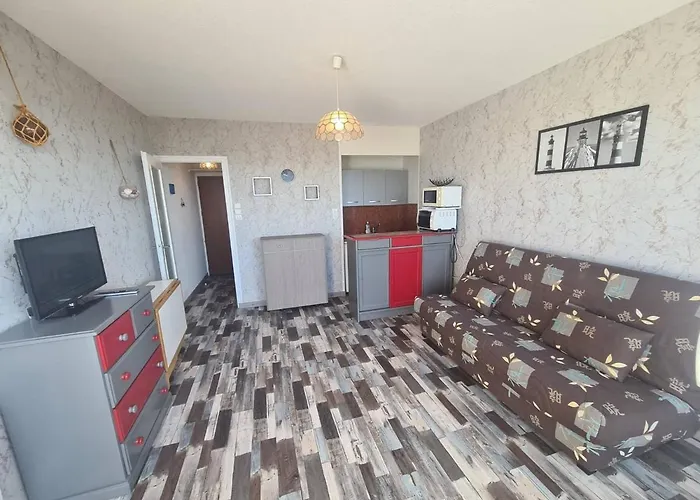 아파트 Studio En Bord De Mer Avec Parking Et Animaux Admis - Fr-1-224C-197