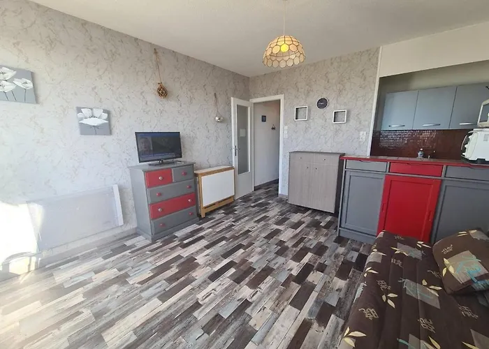 Studio En Bord De Mer Avec Parking Et Animaux Admis - Fr-1-224C-197 아파트 생장드몽